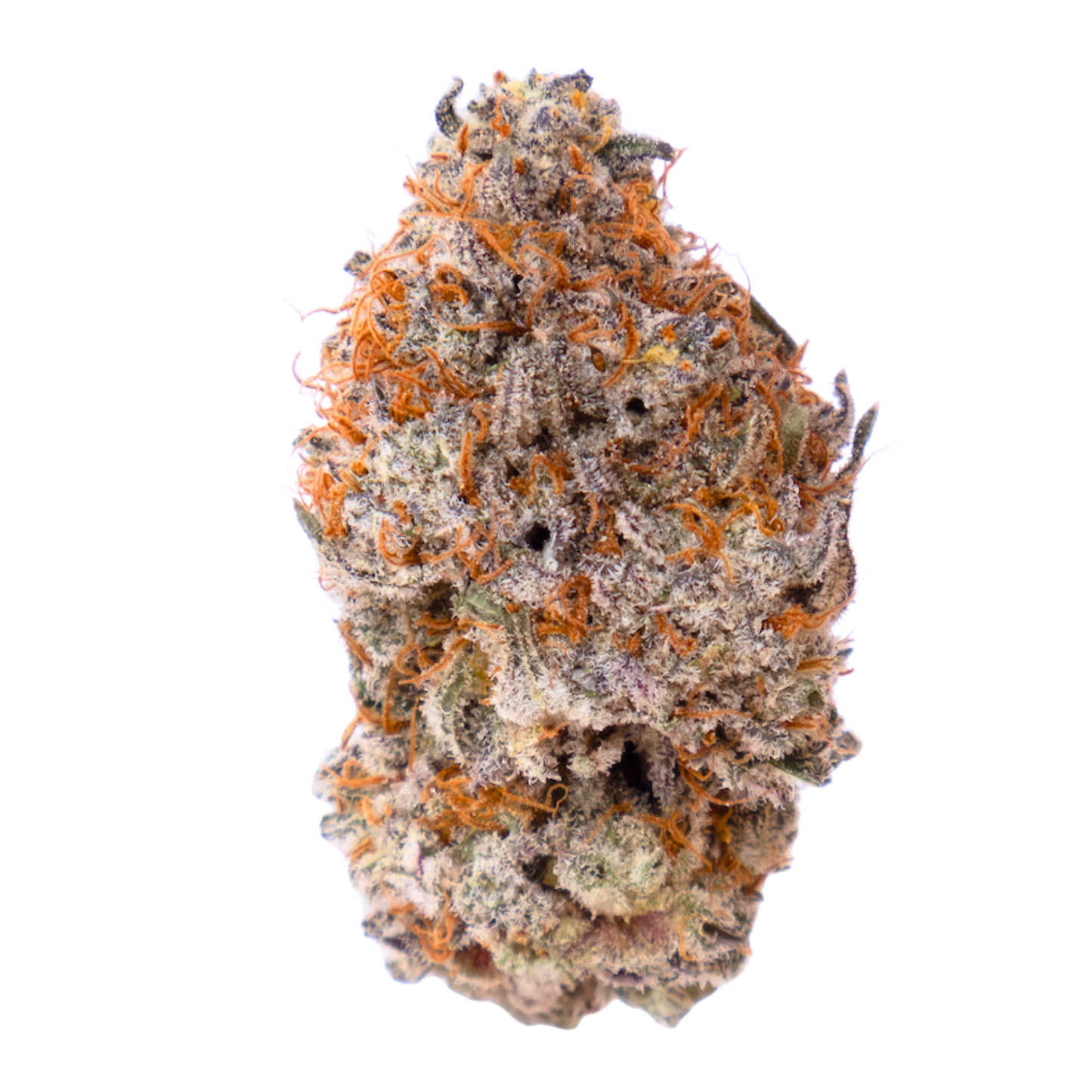 Ice Cream Cake - Indica