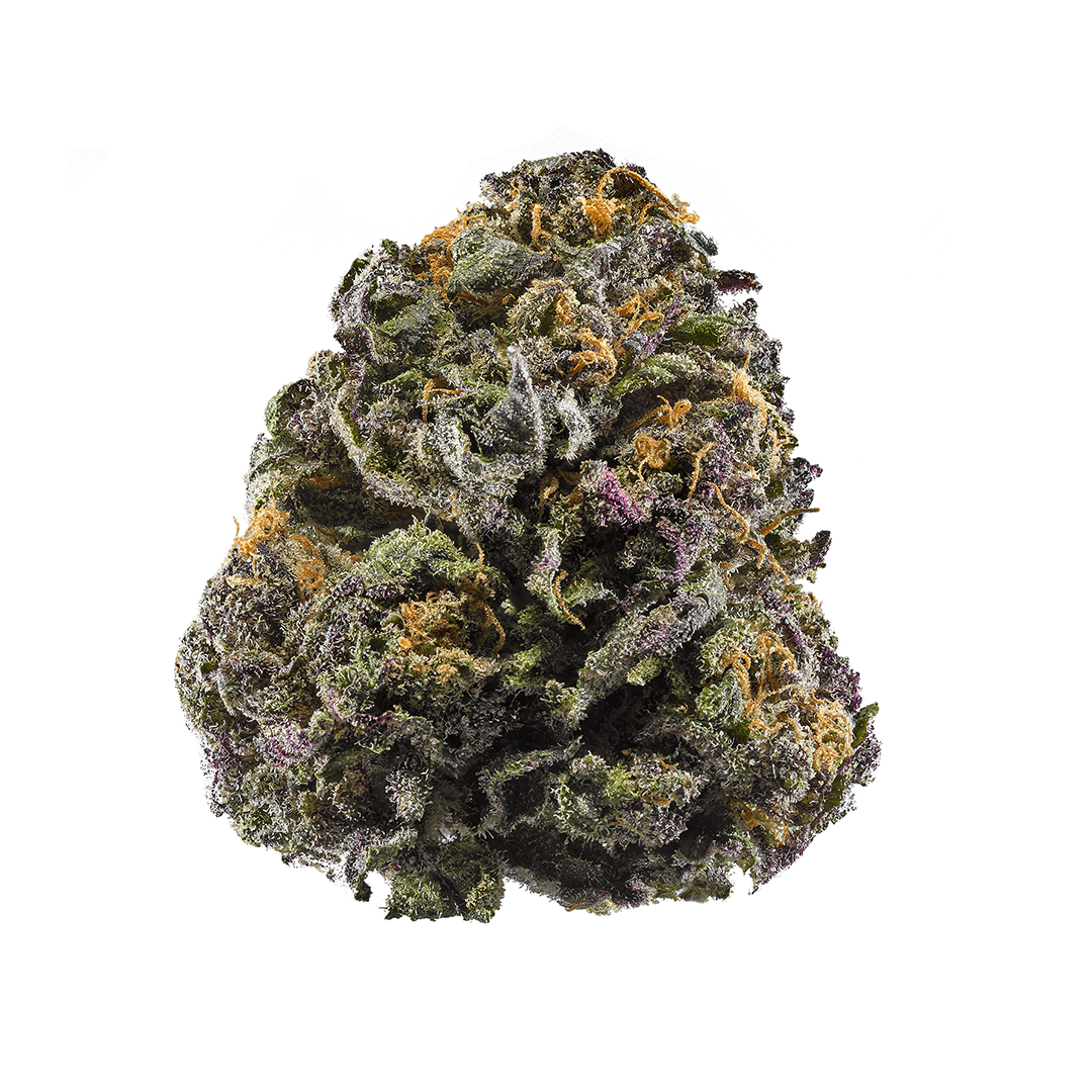 Purple Urkel - Indica