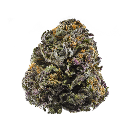 Purple Urkel - Indica