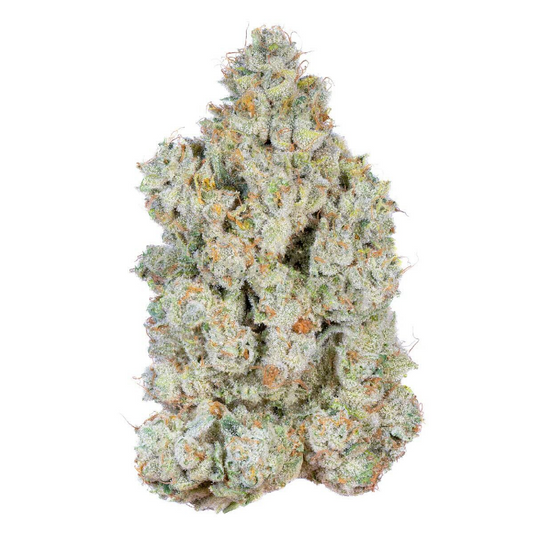Jelly Breath - Hybrid