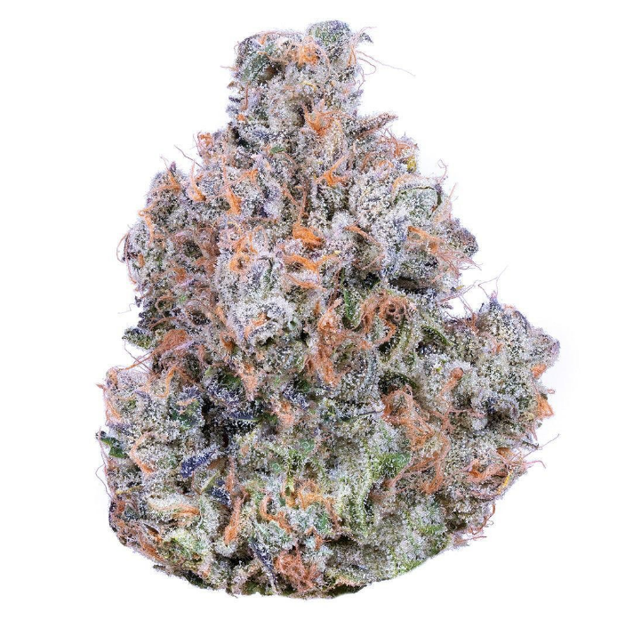 Trop Cherry - Sativa